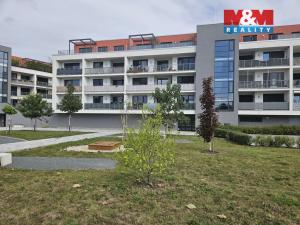 Pronájem bytu 1+kk, Olomouc, Lazecká, 38 m2