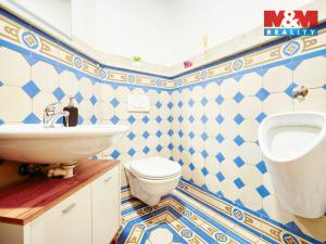 Pronájem atypického bytu, Plzeň, Purkyňova, 145 m2