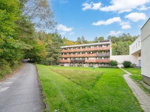 Prodej bytu 1+kk, Všemina, 23 m2