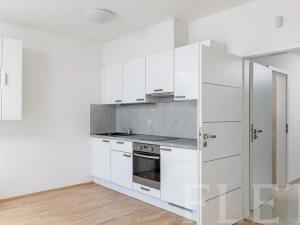 Pronájem bytu 1+kk, Praha - Žižkov, Olšanská, 41 m2