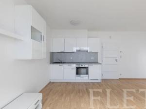 Pronájem bytu 1+kk, Praha - Žižkov, Olšanská, 41 m2