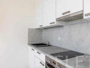 Pronájem bytu 1+kk, Praha - Žižkov, Olšanská, 41 m2