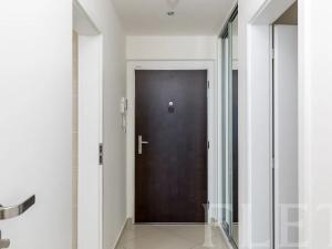 Pronájem bytu 1+kk, Praha - Žižkov, Olšanská, 41 m2
