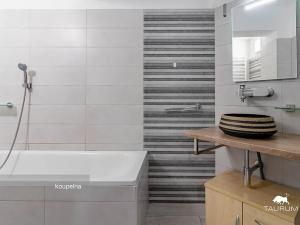 Pronájem bytu 2+kk, Plzeň, Zahradní, 68 m2