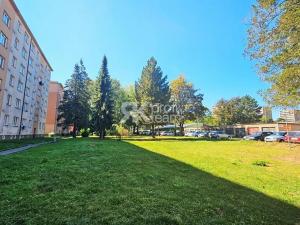 Prodej bytu 2+1, Ostrava, U Vozovny, 51 m2