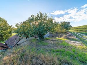 Prodej ostatní, Čejkovice