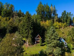 Prodej chaty, Staré Buky, 40 m2