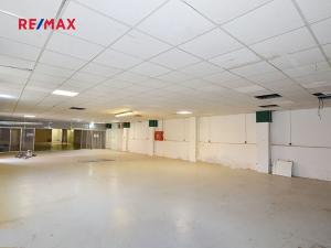 Pronájem výrobních prostor, Frýdek-Místek, Třebízského, 192 m2