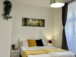 Pronájem bytu 1+kk, Praha - Nové Město, Petrská, 31 m2