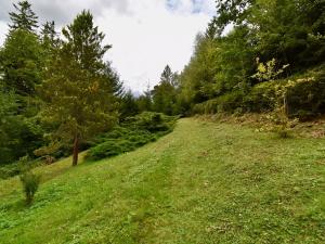 Prodej chalupy, Číhošť, 75 m2