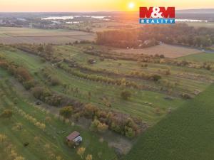 Prodej pole, Ostrožská Nová Ves, 2885 m2