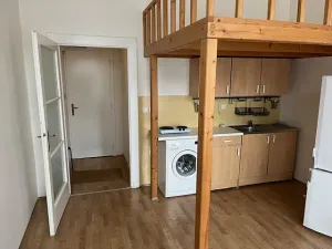 Pronájem bytu 1+kk, Praha - Vinohrady, Budečská, 27 m2