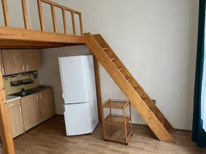 Pronájem bytu 1+kk, Praha - Vinohrady, Budečská, 27 m2