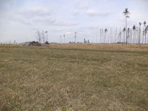 Dražba louky, Opatov, 22551 m2