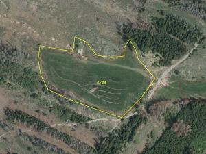 Dražba louky, Opatov, 22551 m2