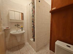 Pronájem bytu 2+1, Brno, Antonínská, 64 m2