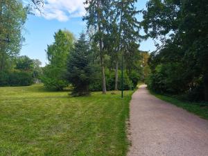Pronájem bytu 2+1, Brno, Antonínská, 64 m2