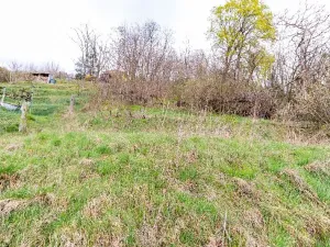 Prodej rodinného domu, Mladá Boleslav, Josefodolská, 80 m2