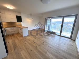 Pronájem bytu 3+kk, Brno - Staré Brno, Hlinky, 90 m2