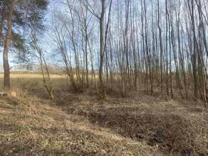 Dražba pozemku, Trstěnice, 1109 m2