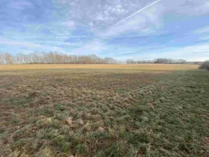 Dražba pozemku, Trstěnice, 1109 m2