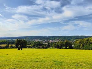 Prodej vícegeneračního domu, Nové Město pod Smrkem, Mírové náměstí, 540 m2