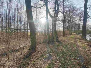 Prodej pozemku, Trstěnice, 1109 m2