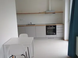 Pronájem bytu 3+kk, Brno, Porhajmova, 78 m2