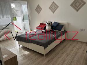 Pronájem bytu 2+1, Karlovy Vary, Závodu míru, 68 m2