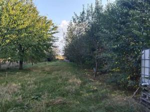 Prodej zahrady, Hulín, 2035 m2