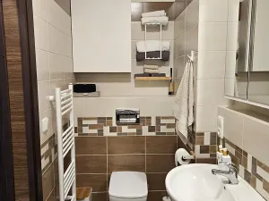 Pronájem bytu 3+kk, Břežany II, 75 m2