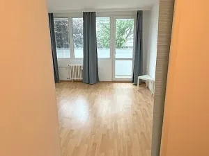 Pronájem bytu 1+1, Praha - Krč, Horáčkova, 43 m2