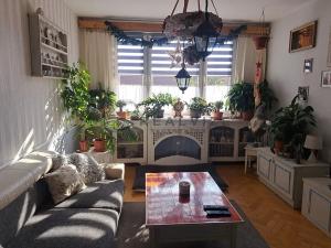 Pronájem bytu 3+1, České Budějovice, Pekárenská, 81 m2