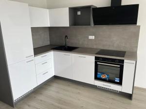 Pronájem bytu 1+kk, Pardubice, Pod Vinicí, 40 m2