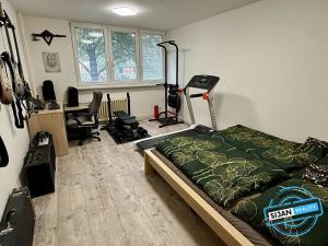 Pronájem bytu 3+1, Opava, Ratibořská, 76 m2