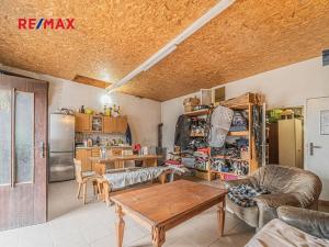 Prodej zemědělské usedlosti, Chlumín, 740 m2