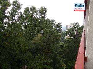 Pronájem bytu 1+kk, Liberec, Libušina, 28 m2