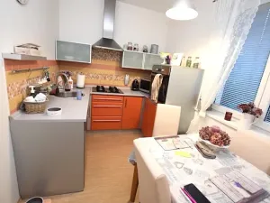 Prodej bytu 4+1, České Budějovice, 78 m2