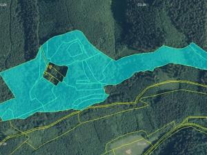 Prodej podílu lesa, Vsetín, 83854 m2