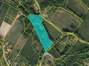 Dražba lesa, Petrovice u Karviné, 14718 m2