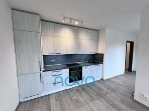 Pronájem bytu 1+kk, Praha - Vysočany, Pod Harfou, 41 m2