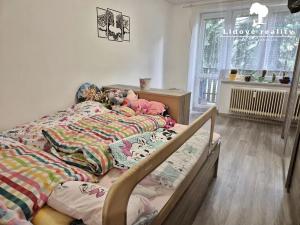 Prodej bytu 3+1, Frýdlant nad Ostravicí, 85 m2