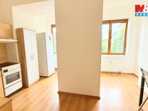 Pronájem bytu 1+1, Písek - Budějovické Předměstí, Budějovická, 55 m2