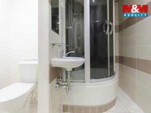 Prodej bytu 1+kk, Ostrava - Výškovice, Výškovická, 28 m2