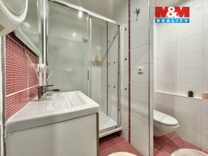 Pronájem bytu 1+kk, Kladno - Kročehlavy, Benešovská, 30 m2