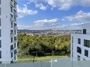 Pronájem bytu 2+kk, Brno, třída Generála Píky, 50 m2