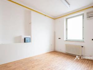 Prodej obchodního prostoru, Újezd u Brna, Nádražní, 901 m2