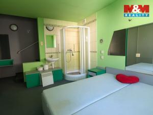 Prodej rodinného domu, České Velenice, Komenského, 650 m2