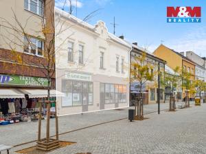 Prodej rodinného domu, Kladno, T. G. Masaryka, 305 m2