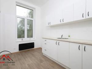 Pronájem bytu 1+1, Ostrava, Křišťanova, 44 m2